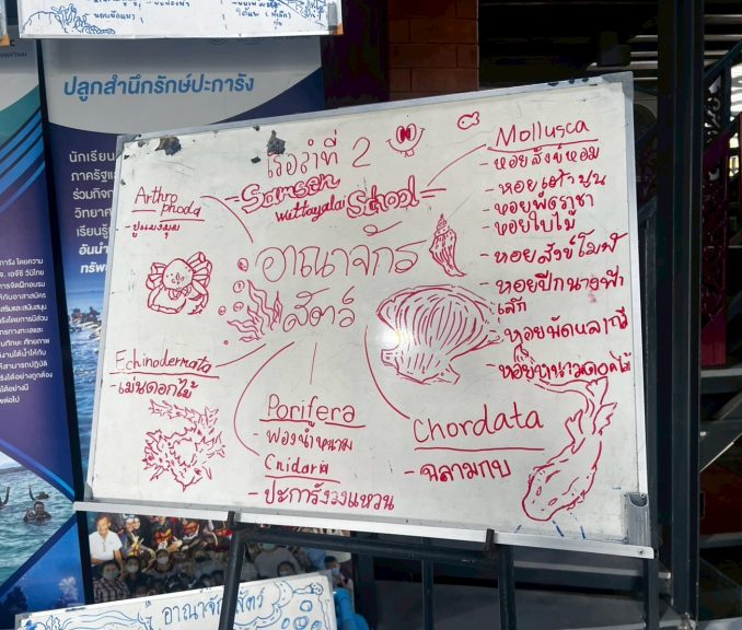 LINE_ALBUM_ค่ายวิทย์ทะเล_250520_16