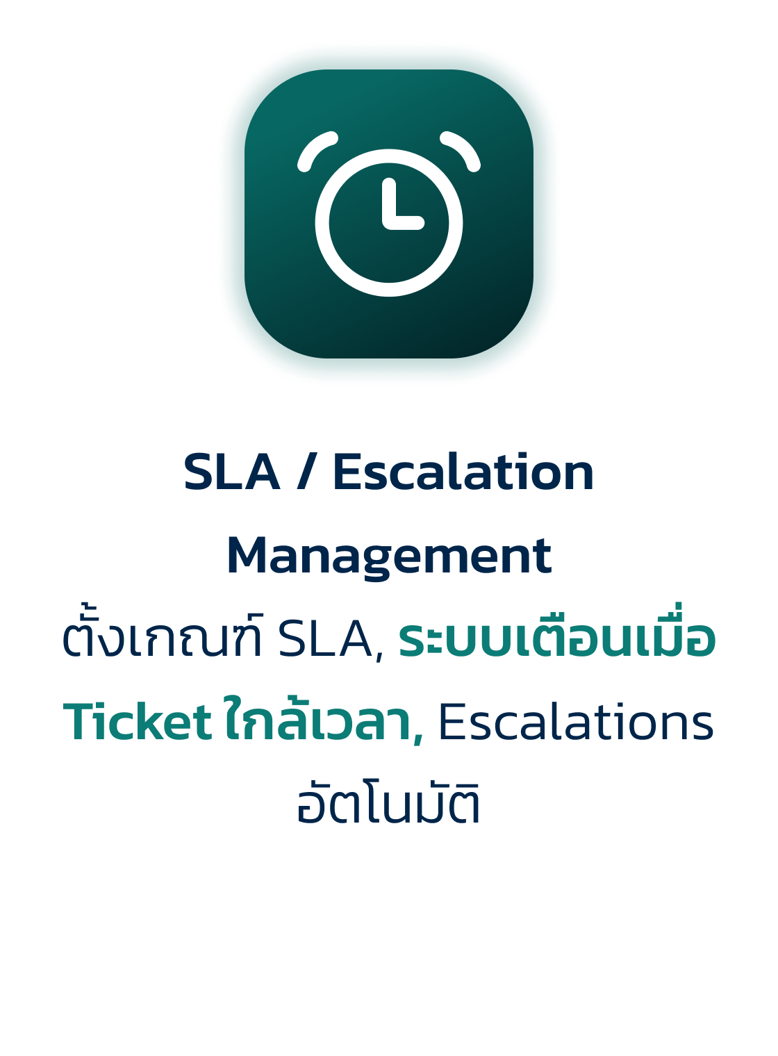 Features Zendesk-11